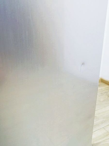 Холодильник двухкамерный Samsung RL34LS Plus 000035007 фото