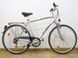 Комфортный велосипед 28 Tecnobike Capri 000024393 фото 1