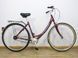 Комфортный велосипед Raleigh Unico 3 000019150 фото 1