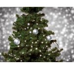 Гірлянда світлодіодна Livarno 441388 50xLED IP44 Cool White Light