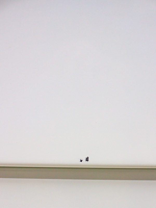 Сушильна машина Miele T4223C Soft Wind C