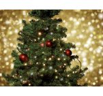 Гірлянда світлодіодна Livarno 441388 50xLED IP44 Coloured Lights