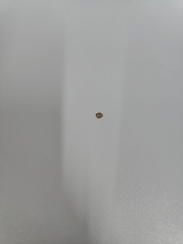 Сушильна машина Cilinga 7кг n558