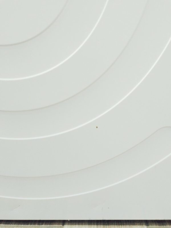 Сушильна машина Bosch Serie6 WTG86402 12