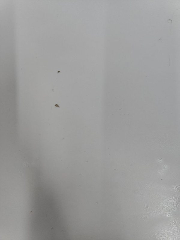 Пральна машина AEG L75475FL 2200W 7kg sn 30201918