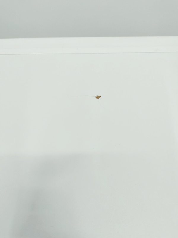 Сушильна машина Beko DPY 8405 HW3