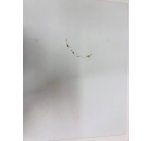 Пральна машина Beko WMY 71643 PTLE