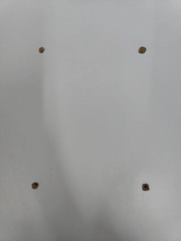 Пральна машина Bosch Serie 4 VarioPerfect WAN282EURO 19 2000W 7 кг sn 6 00878